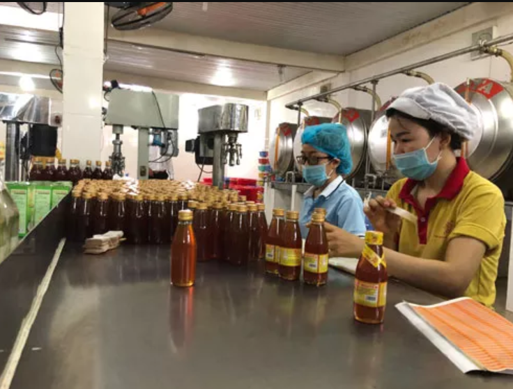  Cơ sở sản xuất được lựa chọn phương án sản xuất theo hướng dẫn của UBND TP. Hồ Chí Minh